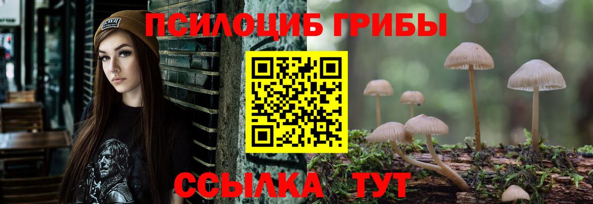 Ступино  Псилоцибиновые грибы Psilocybe  Вход с VPN 